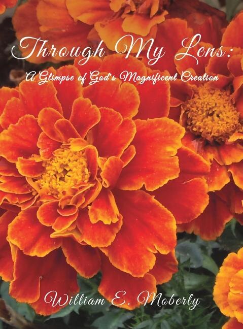 Through My Lens: A Glimpse of God's Magnificent Creation