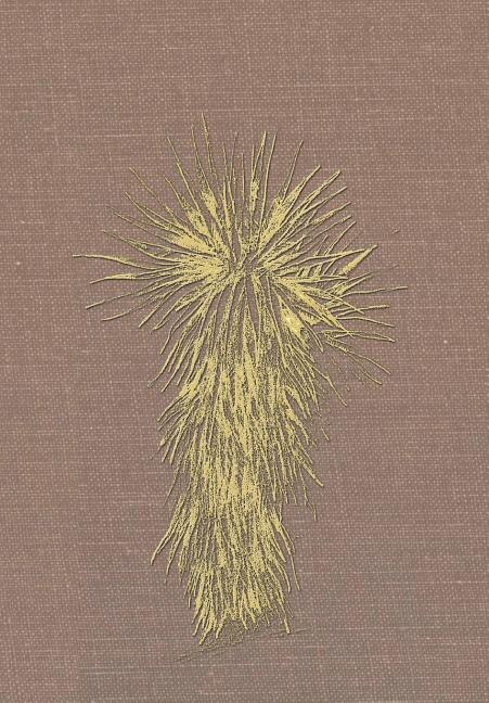 Front cover_Marfa And Presidio County, Texas