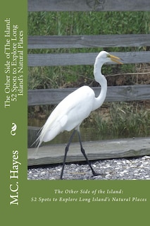 Couverture_The Other Side of The Island
