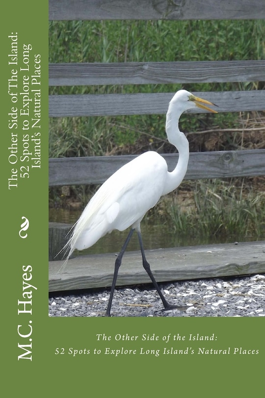 Couverture_The Other Side of The Island