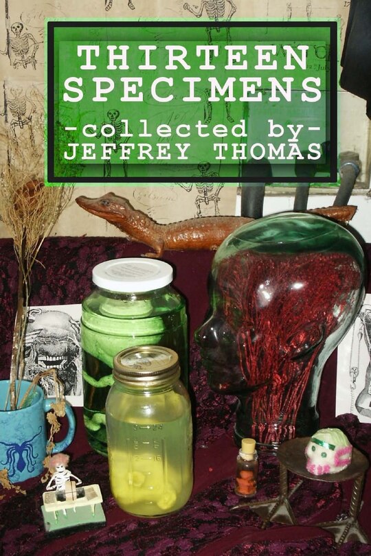 Couverture_Thirteen Specimens