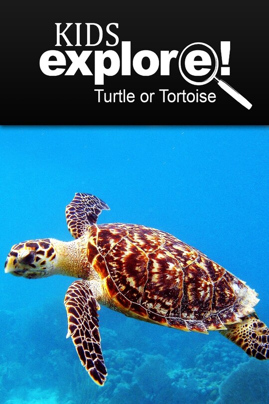 Turtle Or Tortoise - Kids Explore: Animal books nonfiction - books ages 5-6