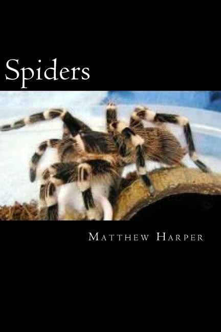 Couverture_Spiders