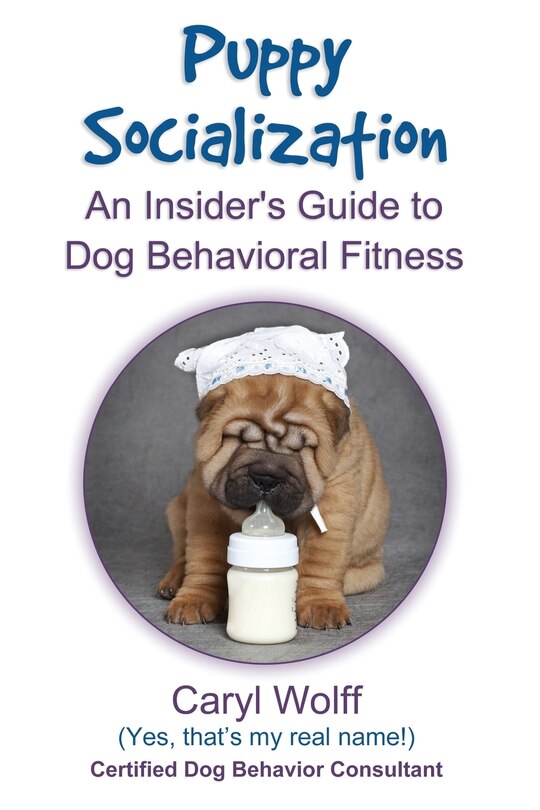 Couverture_Puppy Socialization