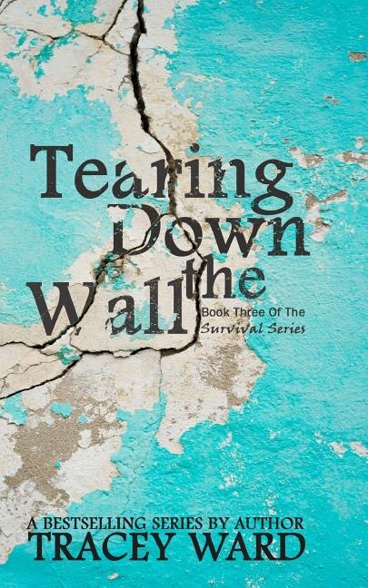 Front cover_Tearing Down the Wall