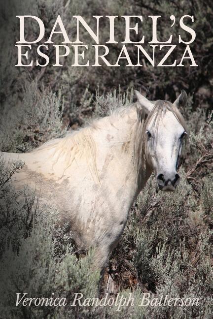 Front cover_Daniel's Esperanza