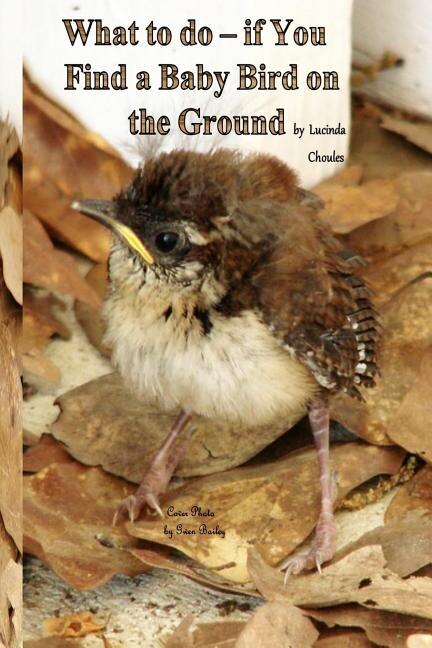 Front cover_What to do- if You Find a Baby Bird on the Ground