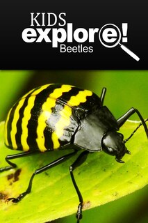 Couverture_Beetles - Kids Explore