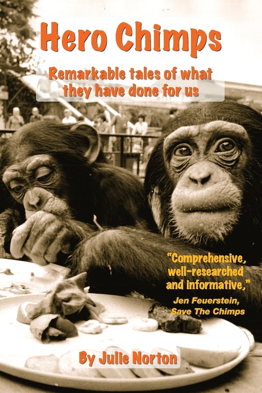 Couverture_Hero Chimps