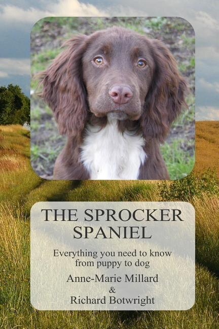 Front cover_The Sprocker Spaniel