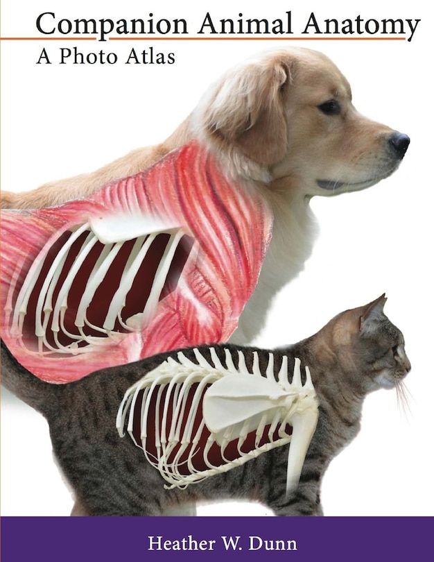 Companion Animal Anatomy: A Photo Atlas