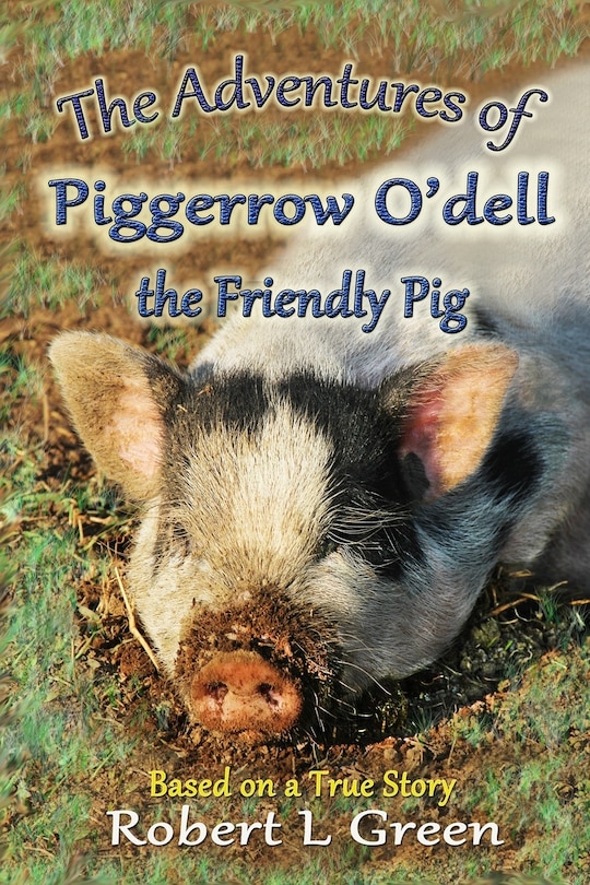 Front cover_The Adventures of Piggerrow O'dell- the Friendly Pig
