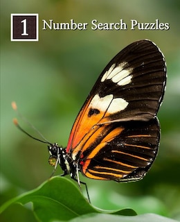 Couverture_Number Search Puzzles 1