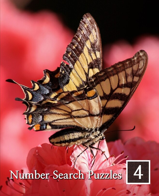 Couverture_Number Search Puzzles 4