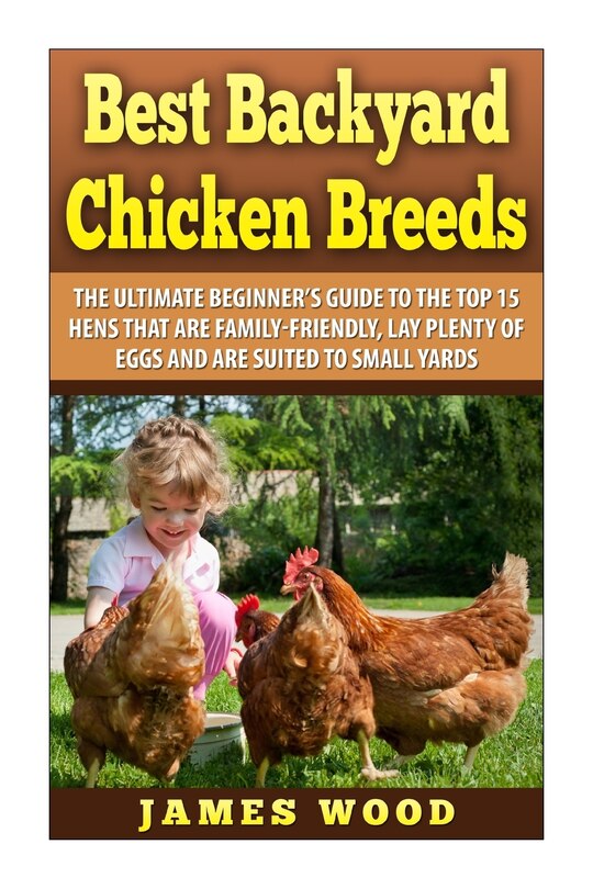 Couverture_Best Backyard Chicken Breeds