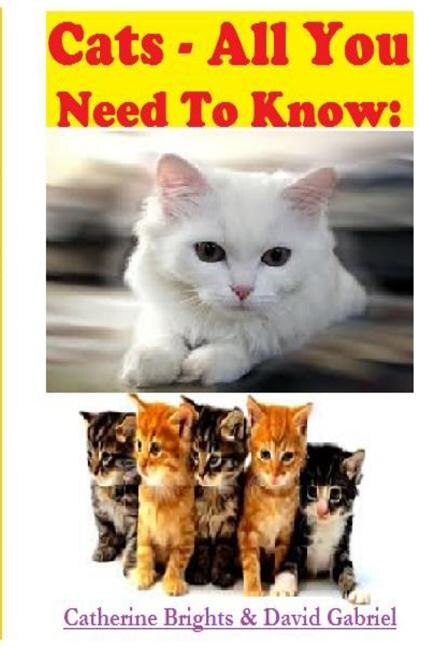 Couverture_Cats - All You Need To Know