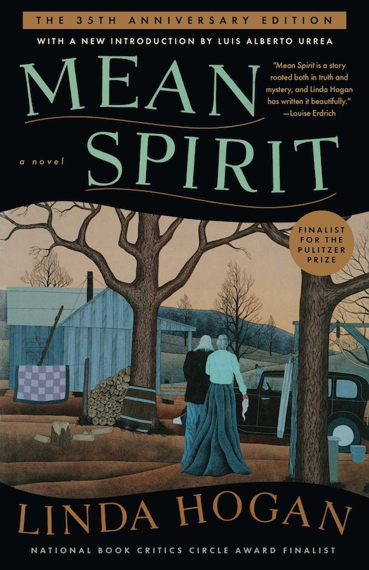 Front cover_MEAN SPIRIT