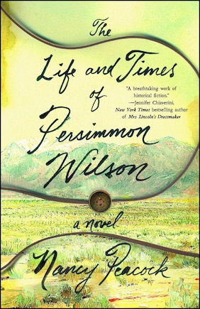 The Life and Times of Persimmon Wilson: A Novel