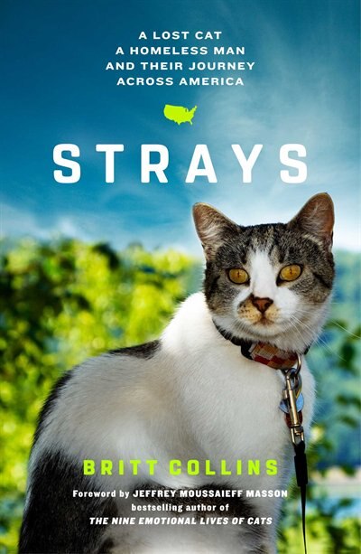 Front cover_Strays