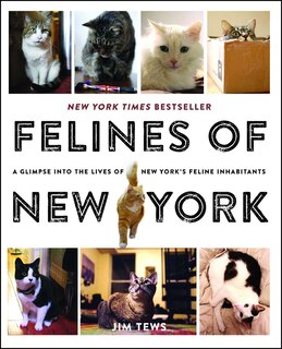 Front cover_Felines of New York