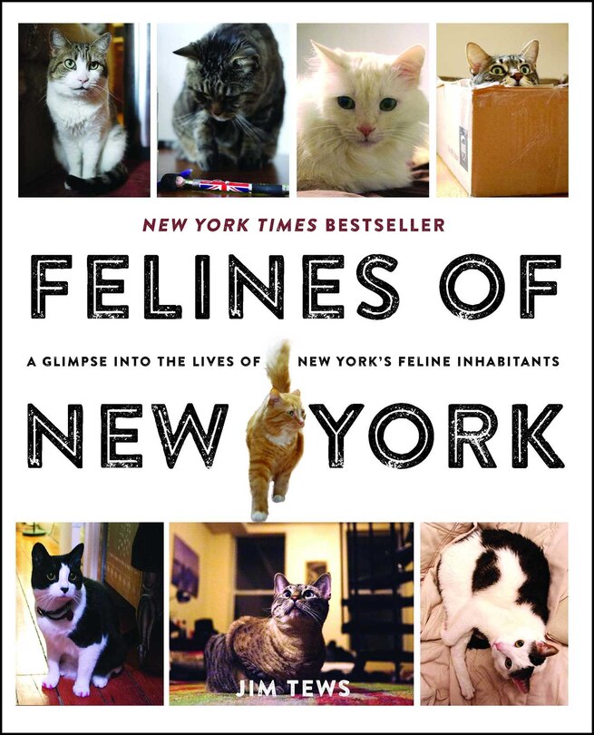 Front cover_Felines of New York