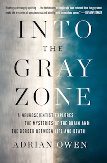 Front cover_Into the Gray Zone
