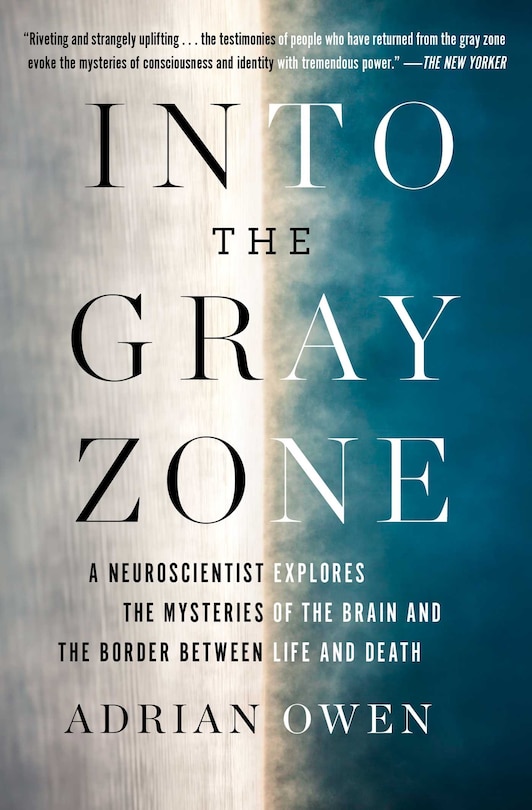 Front cover_Into the Gray Zone
