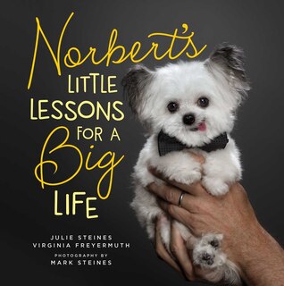 Front cover_Norbert's Little Lessons for a Big Life