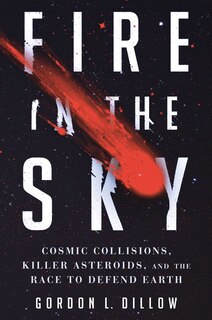Couverture_Fire in the Sky