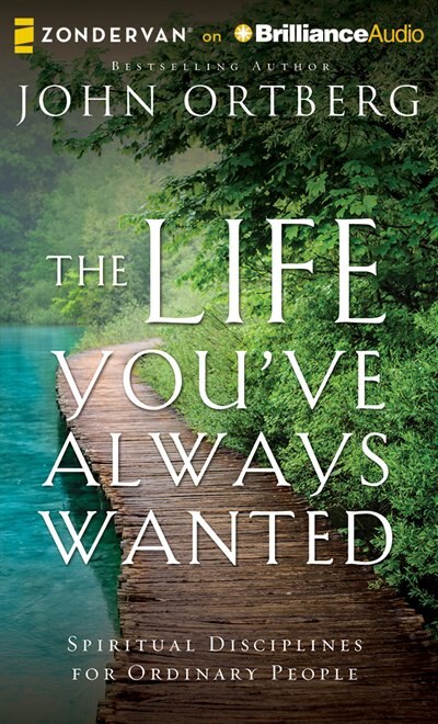 Couverture_The Life You've Always Wanted