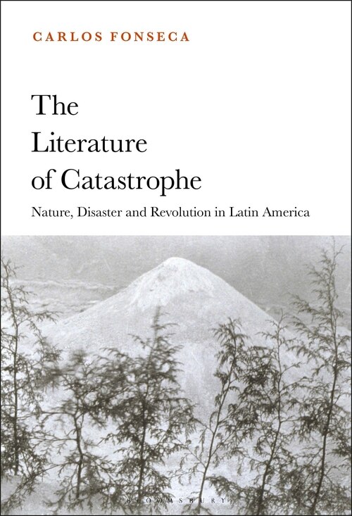Front cover_The Literature Of Catastrophe