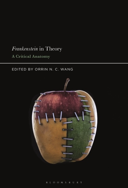 Front cover_Frankenstein In Theory