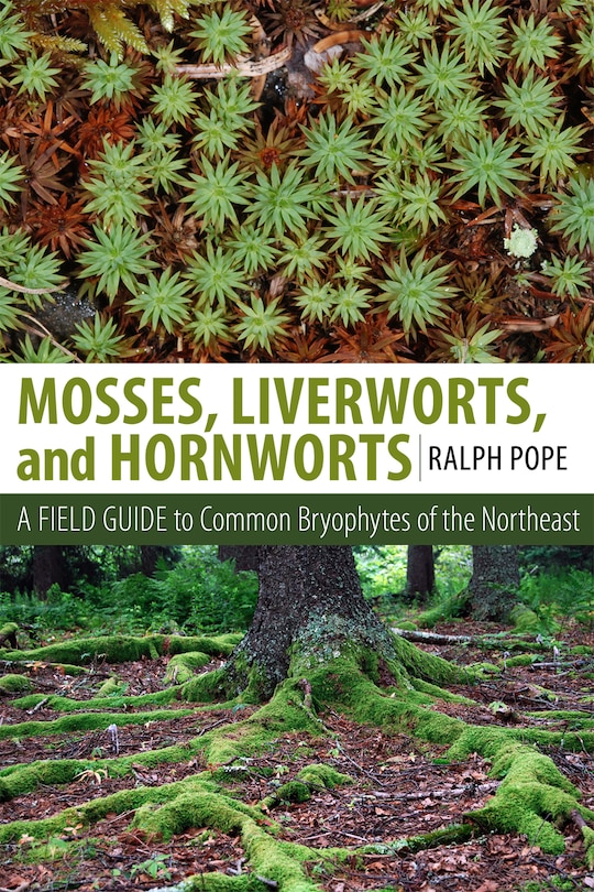 Front cover_Mosses, Liverworts, And Hornworts