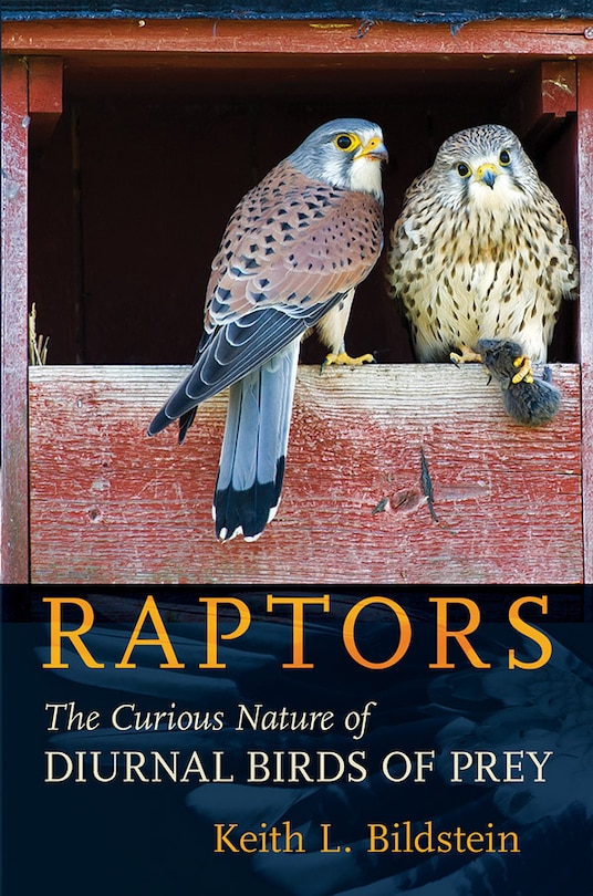 Front cover_Raptors