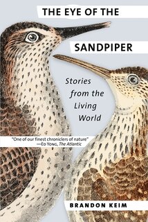 Front cover_The Eye of the Sandpiper