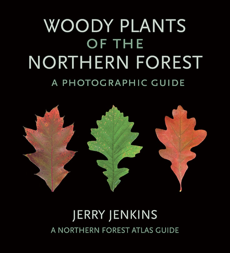 Front cover_Woody Plants of the Northern Forest
