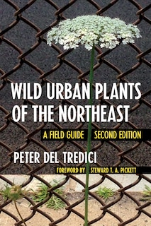 Front cover_Wild Urban Plants of the Northeast