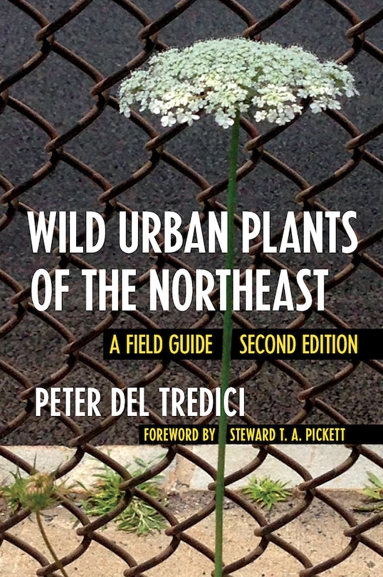 Front cover_Wild Urban Plants of the Northeast