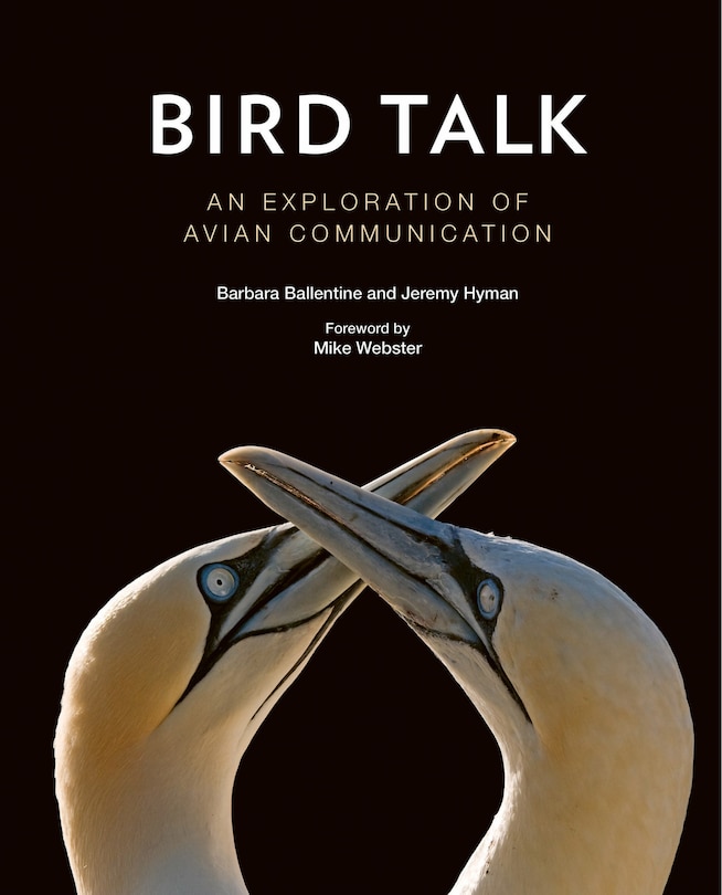 Couverture_Bird Talk