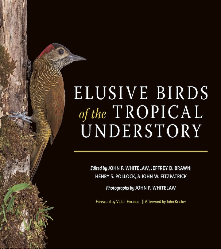 Front cover_Elusive Birds Of The Tropical Understory