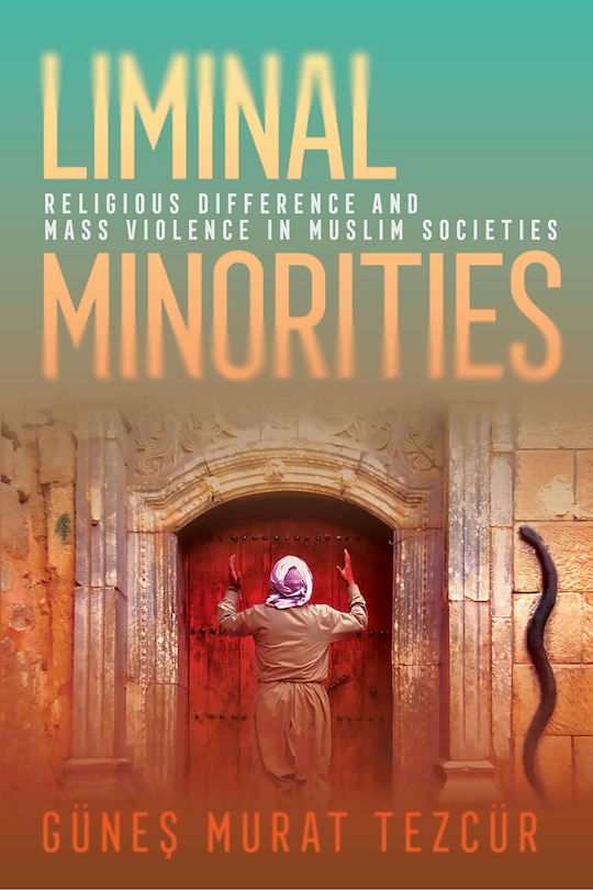 Couverture_Liminal Minorities