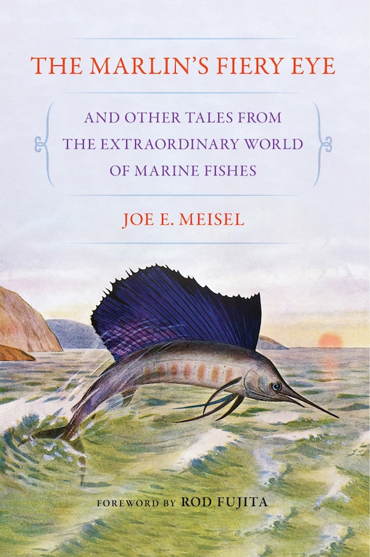 Couverture_The Marlin's Fiery Eye and Other Tales from the Extraordinary World of Marine Fishes