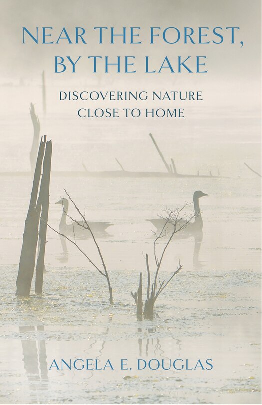 Front cover_Near the Forest, By the Lake