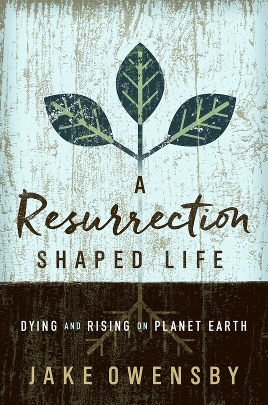 Couverture_A Resurrection Shaped Life