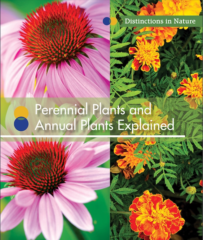 Front cover_Perennial Plants and Annual Plants Explained