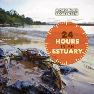 Front cover_24 Hours in an Estuary