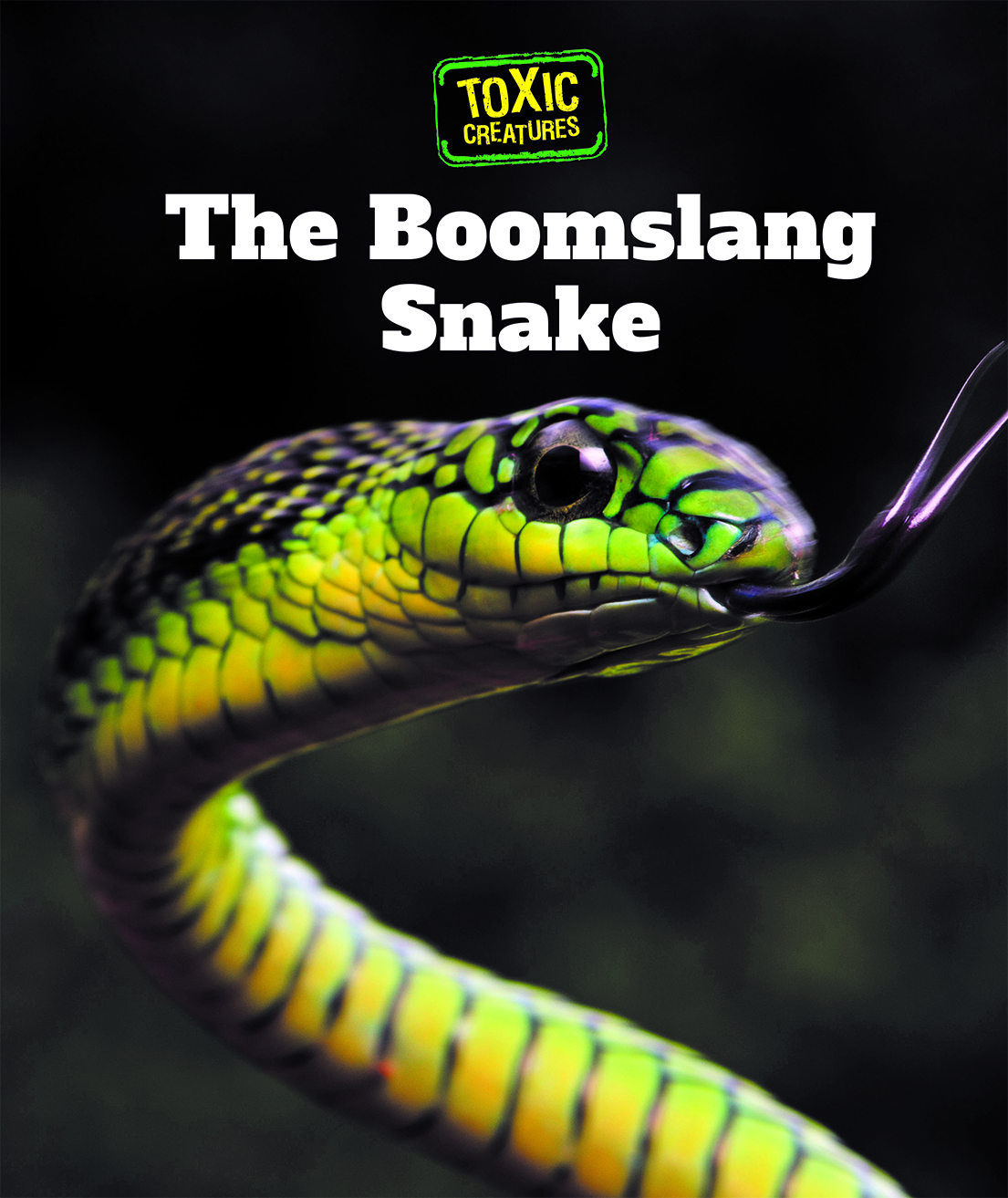 Couverture_The Boomslang Snake
