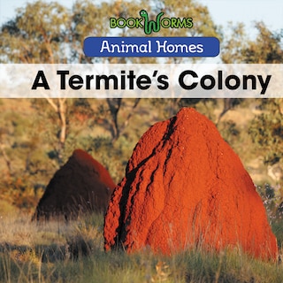Couverture_A Termite's Colony