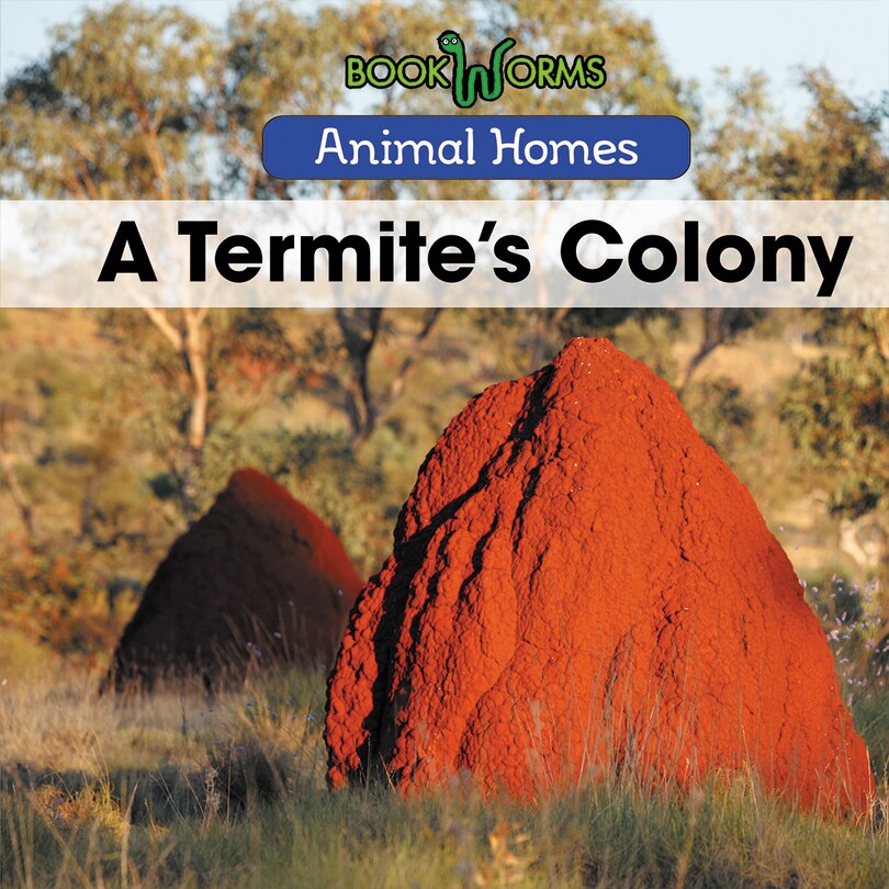 Couverture_A Termite's Colony