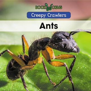 Front cover_Ants